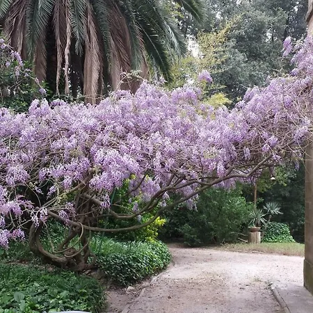 Il Mondo Di Giada Bed & Breakfast
